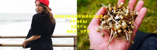 гашишное масло Алзамай