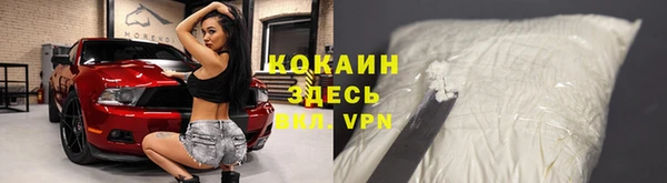 дурь Алексин