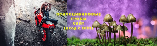 дурь Алексин