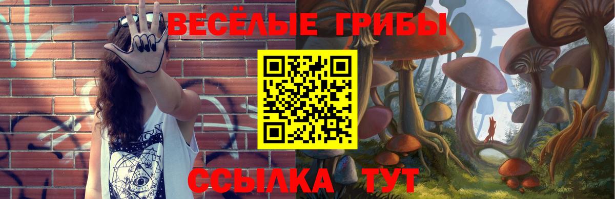 Галлюциногенные грибы ЛСД  Вход с VPN  Махачкала  Псилоцибиновые грибы прущие грибы 