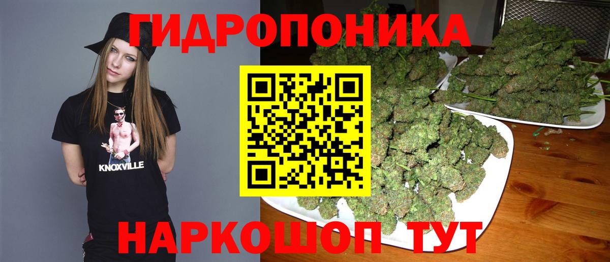 Канабис SATIVA & INDICA  Вход с VPN  Бошки марихуана THC 21%  Бошки марихуана SATIVA & INDICA  Махачкала 